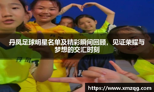 丹凤足球明星名单及精彩瞬间回顾，见证荣耀与梦想的交汇时刻